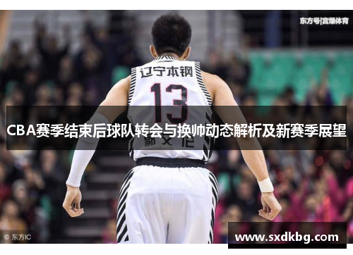 CBA赛季结束后球队转会与换帅动态解析及新赛季展望