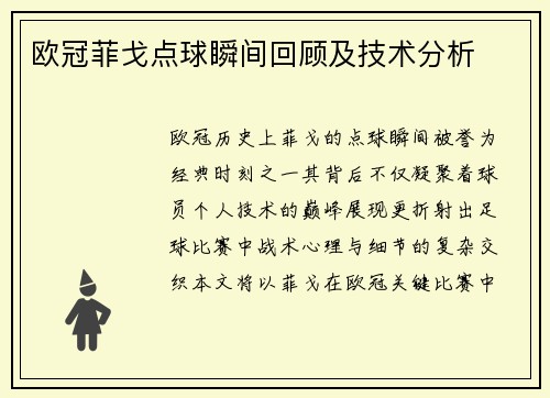 欧冠菲戈点球瞬间回顾及技术分析